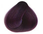 Bilberry nr. 21 Sanotint Classic hair colour 125ml