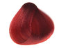 Red Current nr. 23 Sanotint Classic hair colour 125 ml
