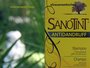 Sanotint Shampoo Antidandruff