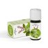 Basil oil Vivasan Webshop