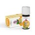 Peppermint oil Vivasan Webshop