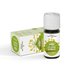 Fennel oil Vivasan Webshop